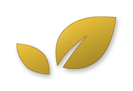 Becomyn logo